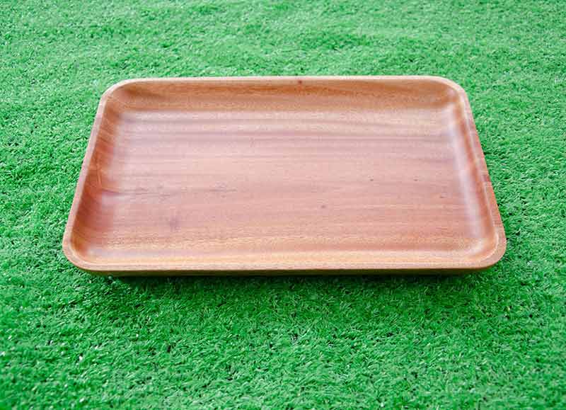 Khay chữ nhật trung 20x30cm