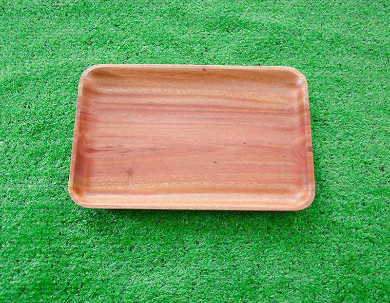 Khay chữ nhật trung 20x30cm