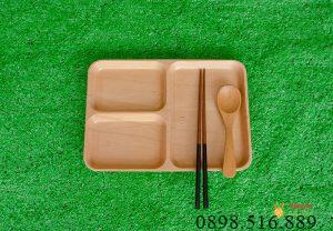 Khay chu nhat 3 ngan lon 8