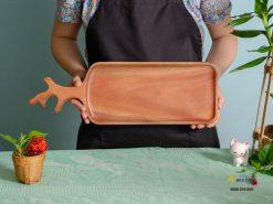 Khay tam cam hinh sung nai 44x14.5cm VKU1 072 7