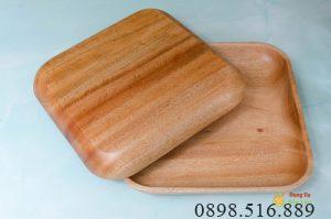 Khay vuong 20cm xc 2