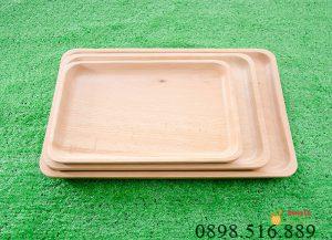 Khay gỗ chữ nhật gỗ Beech nhiều size 8 khay chu nhat 7