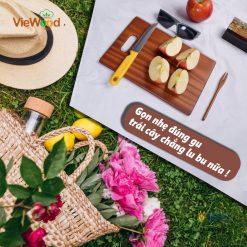 Thot chu nhat mong co tay cam 24x17cm Hinh 6 1